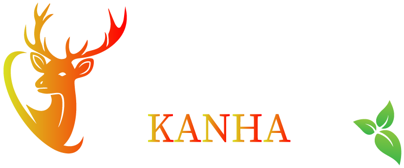 Budget Hotel accommodations Kanha National Park