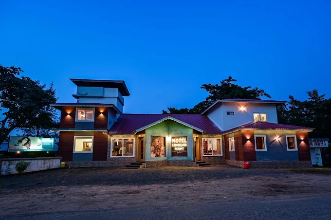 Scenic jungle view from one of the premium Kanha Tiger Reserve hotels surrounded by lush greenery and wildlife.