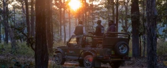 Best time for Kanha National Park safari booking near forest gate